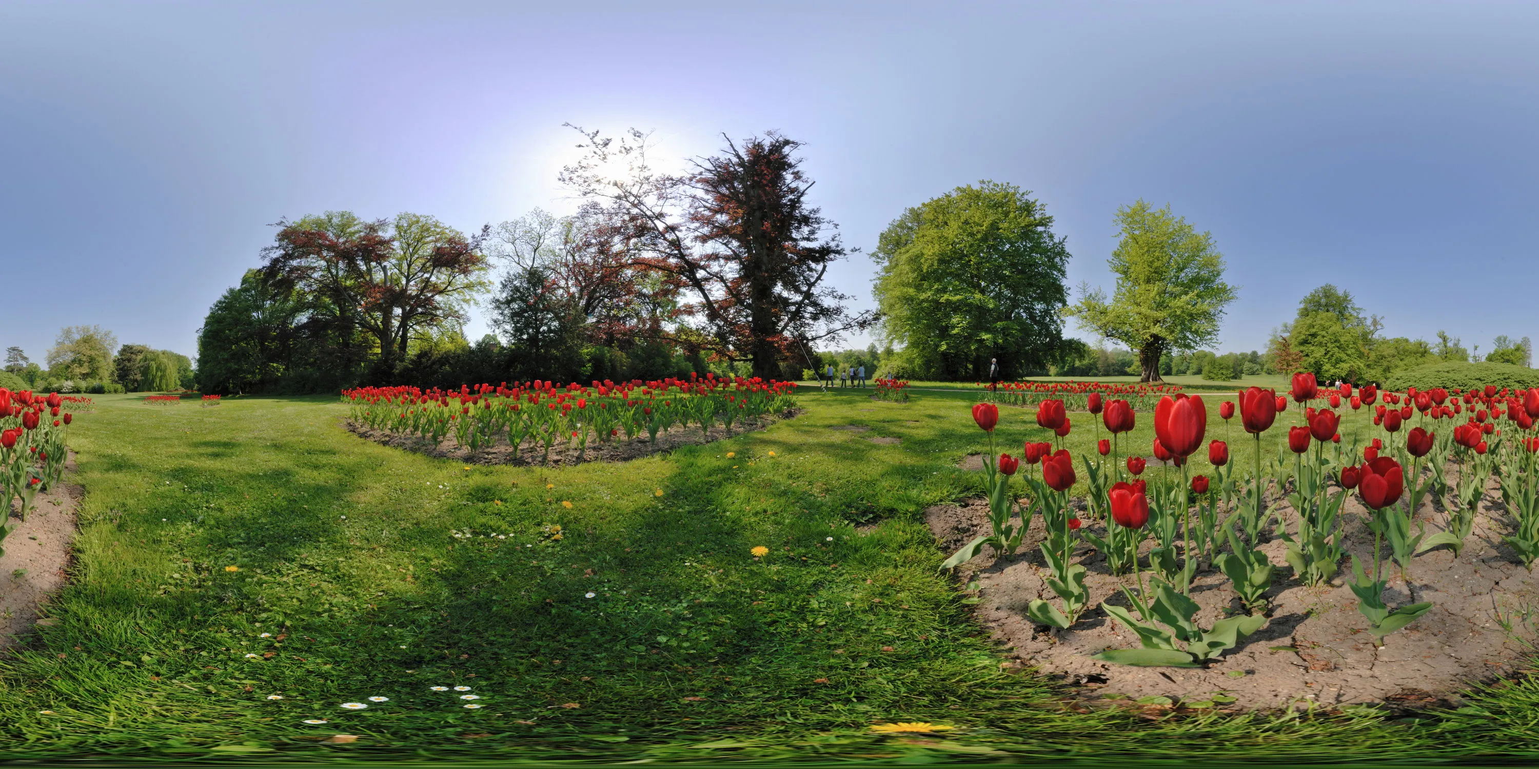 Equirectangular