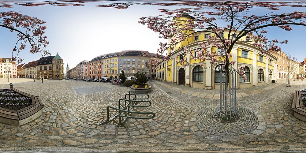 Rosenbaum am Rathaus