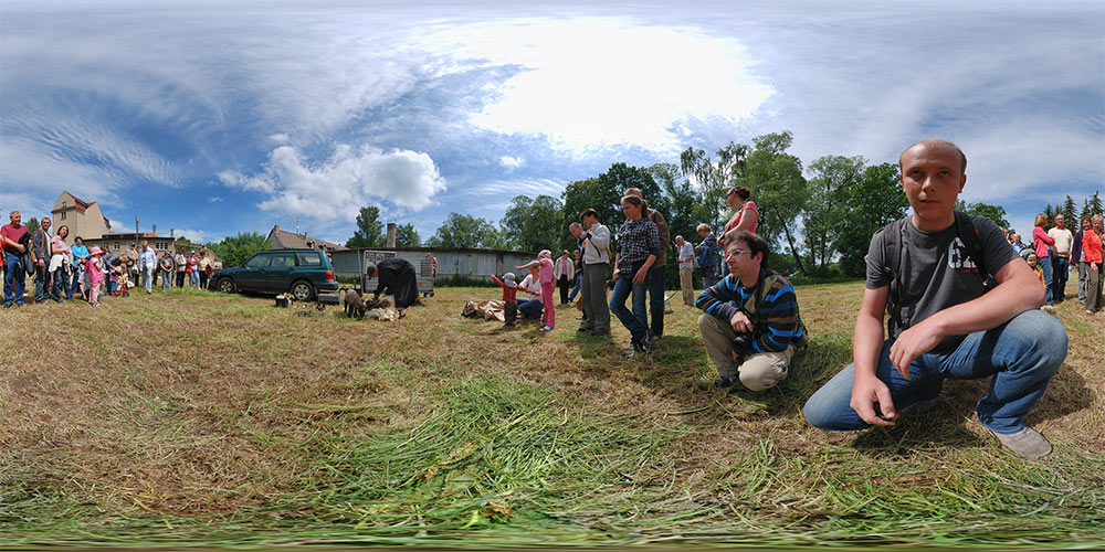 Vorführung Schafschur
