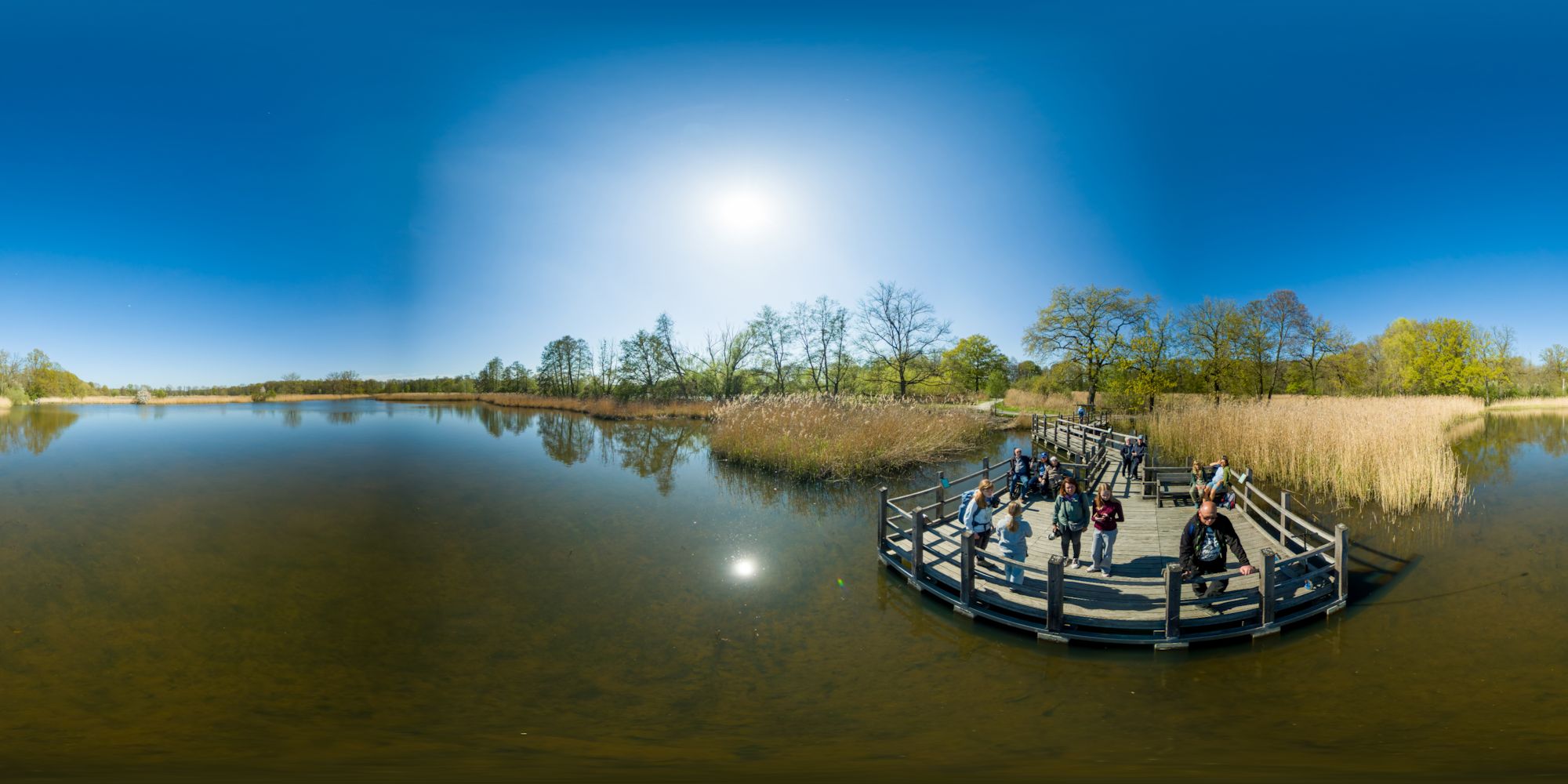 Biosphärenreservat Guttau - Froschsteg