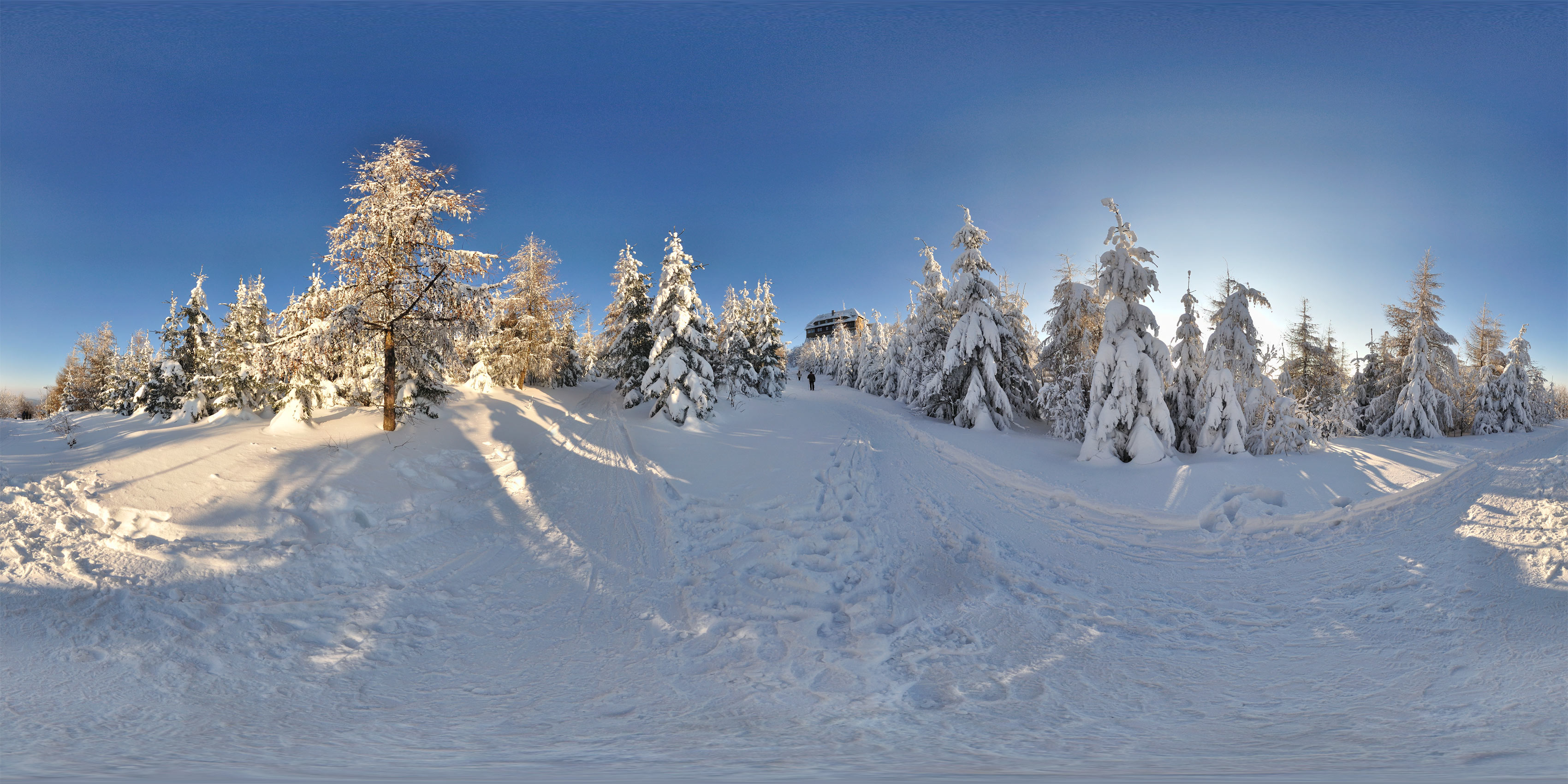 Fahrweg zum Hochwald
